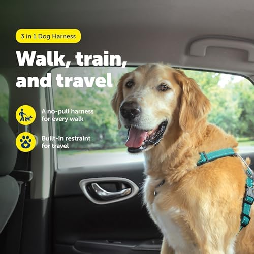 PetSafe Easy Walk 3 in 1 No Pull Dog Harness, Teal, Large - Image 2