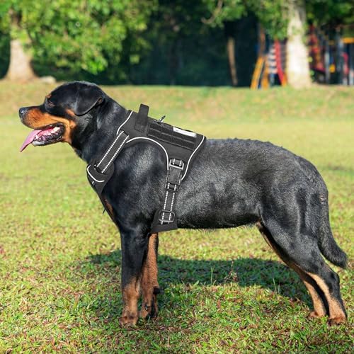 Beebiepet Tactical No Pull Dog Harness with Leash, X-Large, Black - Image 2