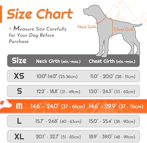 Eagloo Dog Harness for Medium Sized Dogs, No Pull Vest with 2 Leash Clips - Image 2