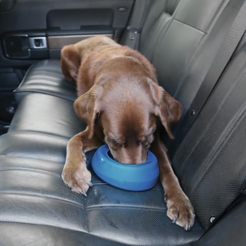 Kurgo Splash Free Wander Dog Water Bowl, Blue - Image 6