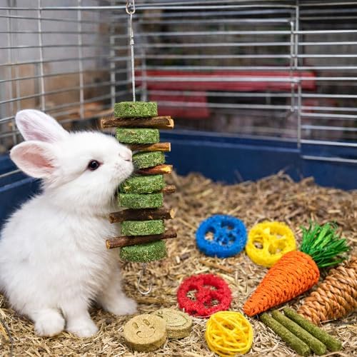 Grddaef 20 PCS Bunny Chew Toys for Teeth, Natural Rabbit Toys Apple Wood Grass Timothy Sticks Chew and Treat for Guinea Pigs Hamster Chinchillas - Image 5