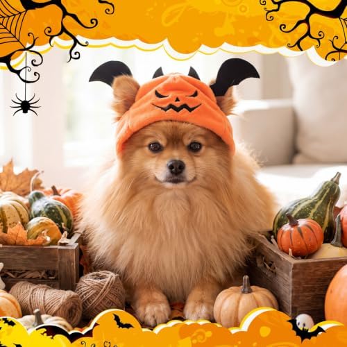 Abbylike 6 Pcs Halloween Pumpkin Costume for Cat, Small Dog - Image 6