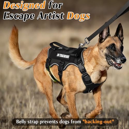 WINSEE Escape Proof Dog Harness with Double Handle+4 Removable Patches - Image 2