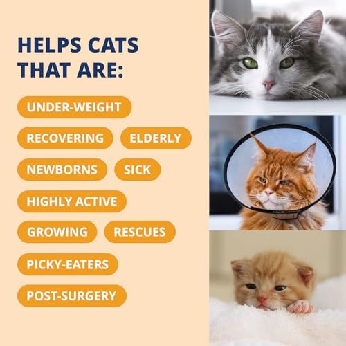 Under the Weather Pet Electrolytes Ready Cal Plus Gel for Cats | Vet-Formulated High-Calorie Supplement for Cats & Kittens | Promotes Weight Gain & Boosts Energy for Sick Felines | 3.5 Oz Tube Pack - Image 4