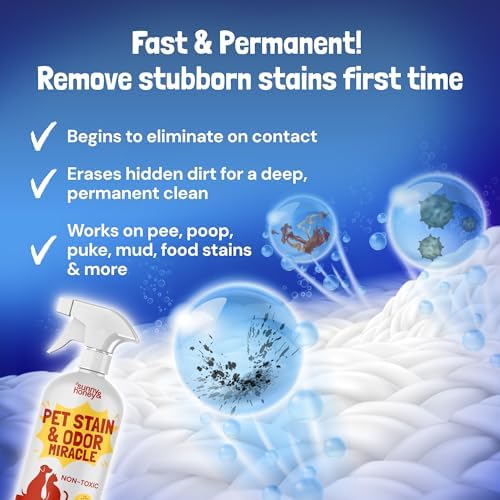 Sunny & Honey Carpet Cleaner Spray, Enzyme Pet Stain Remover, 32oz Spice - Image 3