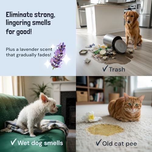 Sunny & Honey Carpet Cleaner Spray, Enzyme Pet Stain Remover, 32oz Lavender - Image 4