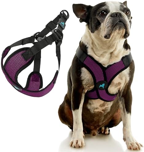 Gooby Comfort X Step-in Lite Harness, Choke-Free, Purple, Medium - Image 3