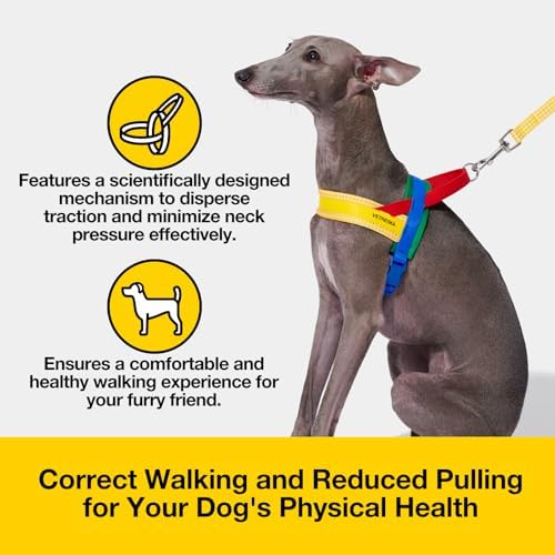 VETRESKA MoMA Dog Harness and Leash Set, Easy Walk Dog Harness, Yellow XS - Image 5