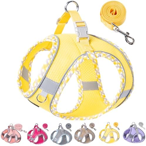Petank Step in Dog Harness No Pull and Leash for Small Medium Dogs Cats. by PetankCareforEveryPaw