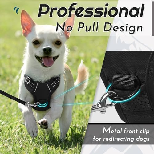 Eagloo Dog Harness for Small Dogs, No Pull Pet Vest with 2 Leash Clips - Image 3