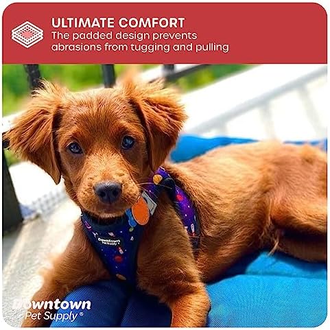 Downtown Pet Supply Step-in Dog Harness – No Pull, Adjustable Padded Mesh with Reflective Trim, Secure Buckle Strap – Comfortable & Breathable Small Dog Harness, Large, Space - Image 6