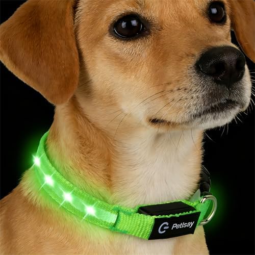 Super Bright LED Dog Collar, Waterproof Light up Collars(Green, S) by PetIsay