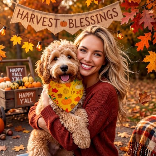 Weewooday 50 Pcs Fall Dog Bandanas Bulk for Thanksgiving Autumn Small - Image 5