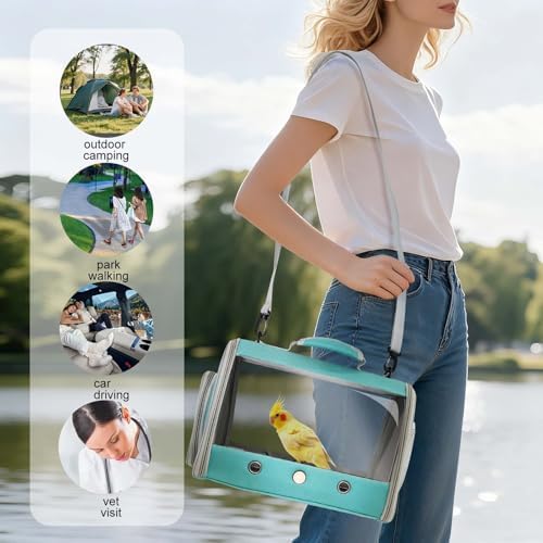 Bird Carrier, Portable Small Bird Parrot Parakeet Carrier with Standing Perch and Stainless Steel Tray, Side Access Window Collapsible (Green, Cylinder Design - Clear) - Image 5