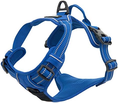 Voyager Dual Attachment No Pull Harness - Royal Blue, Large - Image 4