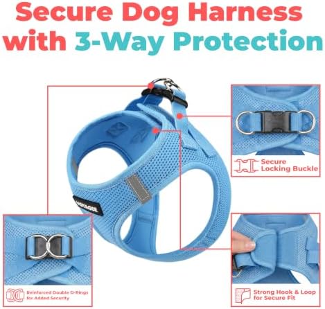 Voyager Step-in Air Dog Vest Harness - Sky Blue, XX-Small - Image 2