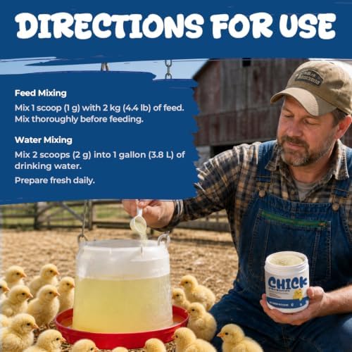Chick Probiotic Powder with Vitamins & Electrolytes, Gut Balance & Growth - Image 6