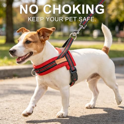 BEAUTYZOO Dog Harness Medium Sized and Leash Set, No Pull Step in Pet Vest - Image 7