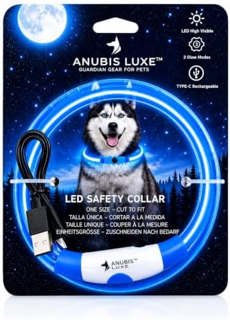 LED Dog Collar, Cut-to-Fit Light Up Dog Collar Protection for Night Walking, IP67 Waterproof USB Rechargeable Glowing Pet Collar, High Visibility Super Bright Flash Safety Lights for S/M/L Dogs (BLUE) by Unknown
