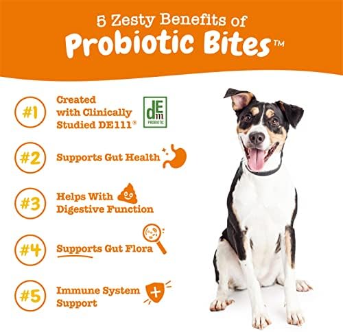 Zesty Paws Probiotics for Dogs, Digestive Enzymes Gut Flora, Digestive Health, Diarrhea & Bowel Support, DE111, Dog Probiotic Soft Chew for Pet Immune System, Pumpkin, 250 Ct - Image 3
