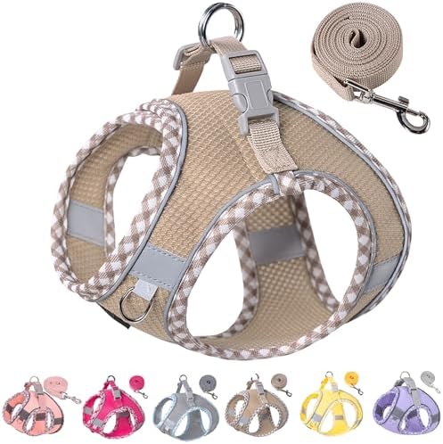 Petank Step in Dog Harness No Pull and Leash for Small Medium Dogs Cats. by PetankCareforEveryPaw