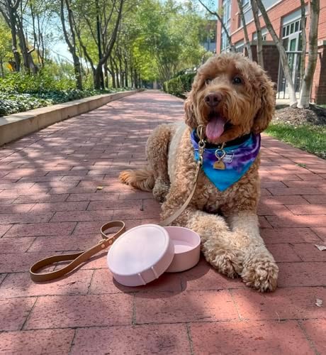 Barkin’ Trails Travel Dog Bowls, Portable Outdoor Water, BPA-Free Water Bowl Set, Food Grade Plastic Dog Travel Bowl, Dog Camping Essentials, Travel Container - Image 6