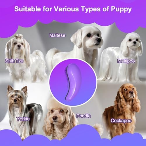 Small Dog Brush, Skin-friendly Soft Bristles (Purple) - Image 6