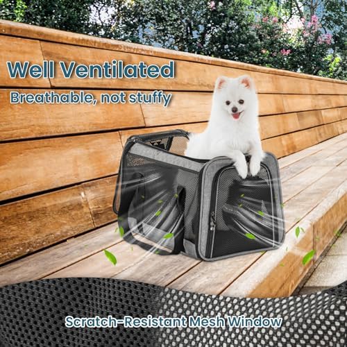 PETSFIT Large Cat Car Carrier,19 x 12 x 12 - Image 5