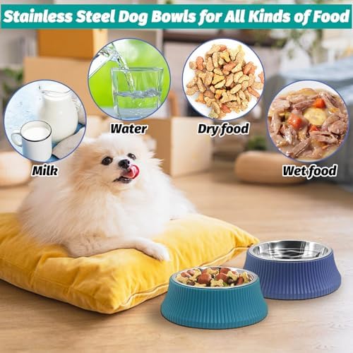 Kathson 2PCS Stainless Steel Dog Bowls Set Removable no tip Puppy Food and Water Feeder Bowl Basic Metal Small Dog Bowls for Dogs Cats Rabbit Guinea Pigs Ferret - Image 5