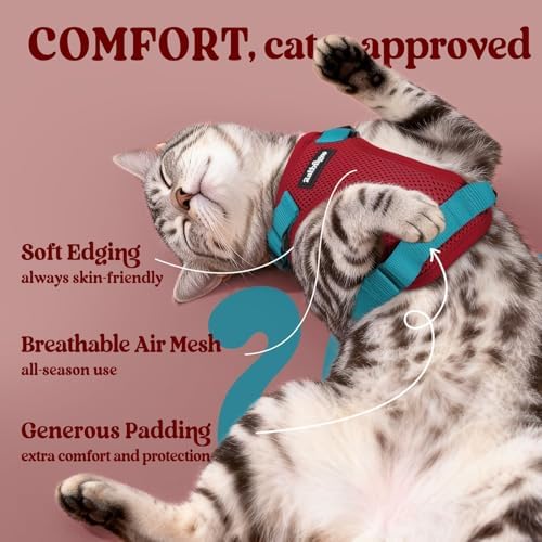 rabbitgoo Cat Harness and Leash Set, Escape Proof Vest, Red & Teal - Image 4