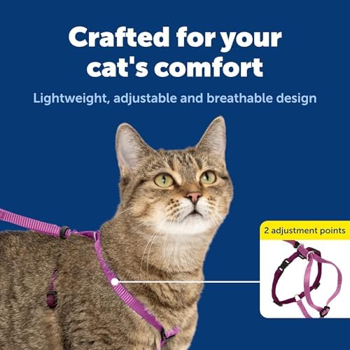 PetSafe Come with Me Kitty Harness and Bungee Cat Leash, Dusty Rose, Medium - Image 4