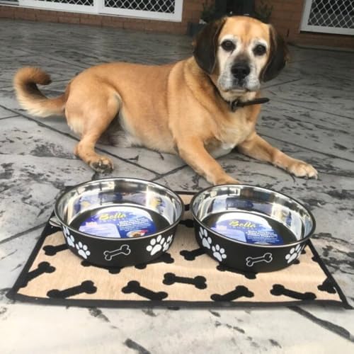 Loving Pets Bella Dog Bowls- Stainless Steel Dog & Cat Bowls - Spill Proof Dog Food Bowl, Cat Bowl, Puppy Essentials & Pet Supplies Great for Home & Travel (Large 35-65 lbs, Espresso) - Image 5