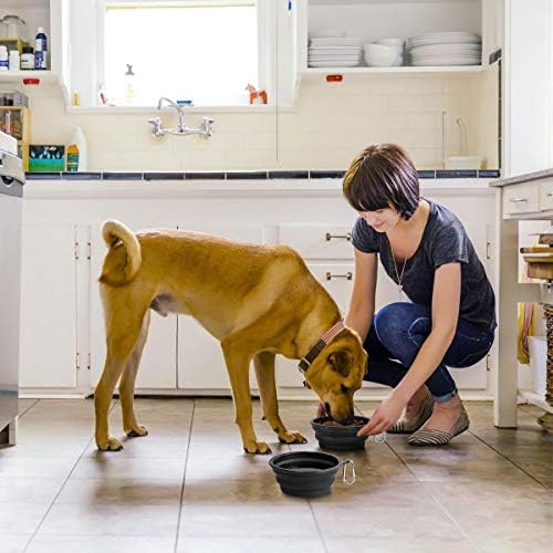 Kytely Large Collapsible Dog Bowls 2 Pack, 34oz Foldable Dog Travel Bowl - Image 6