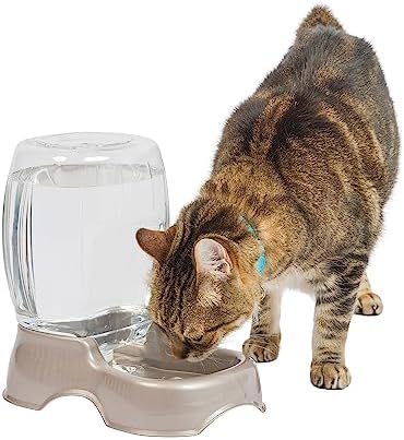 Petmate Pet Cafe Cat and Dog Water Dispenser - Water Bowl for Cats and Dogs, USA Made, Pearl Tan, 0.75 GAL (Pack of 6) by Petmate