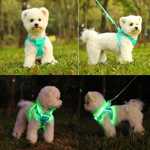 Light Up Dog Harness, Rechargeable LED Dog Harness for Small Medium Dogs - Image 3