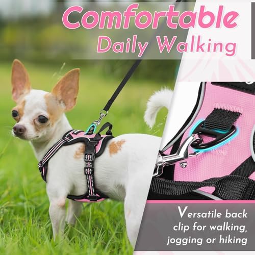 Eagloo Dog Harness for Small Dogs, No Pull Pet Vest with 2 Leash Clips - Image 4