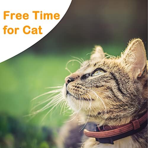 Extra Long Cat Leash for Yard, 15M/50FT Lightweight Outdoor Cat Leash Long Light Extension, Long Thin Lead for Rabbits, Kitten, Puppy and Small Animals - Image 6