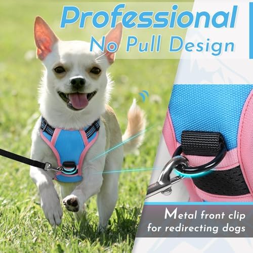Eagloo Dog Harness for Small Dogs, No Pull Pet Vest with 2 Leash Clips - Image 3