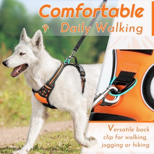 Eagloo Dog Harness for Medium Sized Dogs, No Pull Vest with 2 Leash Clips - Image 4