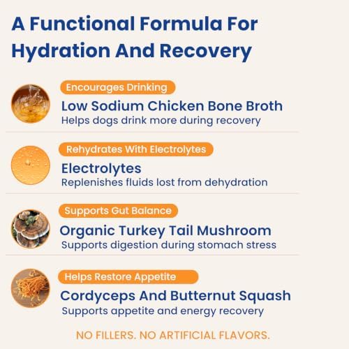 Dog Hydration Support – Helps During Stomach Upset, Vomiting & Diarrhea – Restores Appetite & Boost Energy with Electrolytes and Turkey Tail Mushroom, 14 Sticks - Image 4