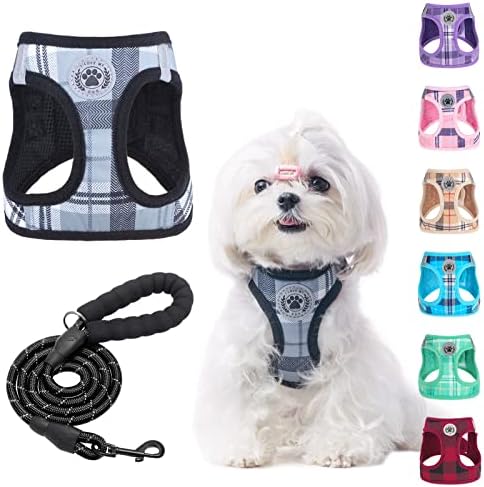 BEAUTYZOO Small Dog Harness and Leash Set, No Pull Puppy Pet Vest- Gray,2XS by BEAUTYZOO