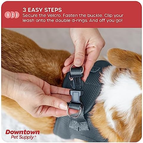 Downtown Pet Supply Step in Dog Harness for Small Dogs No Pull, X-Small, Titanium - Adjustable Harness with Padded Mesh Fabric and Reflective Trim - Buckle Strap Harness for Dogs - Image 5