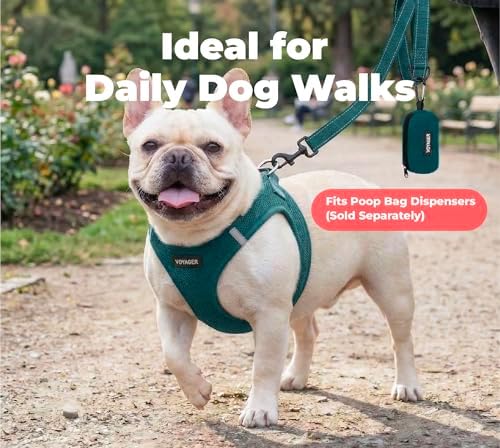 Best Pet Supplies Voyager Nylon Dog Leash - Blue, Large - Image 3