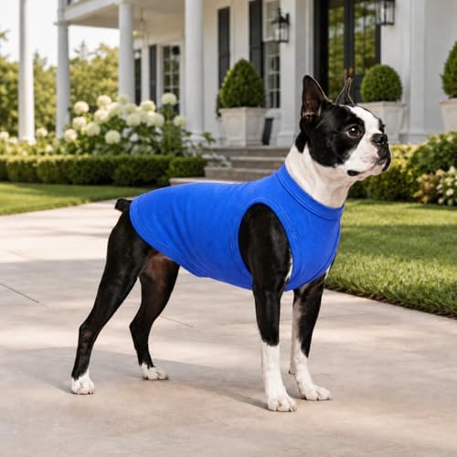 Pet Clothes Dog Clothing Blank T-Shirt Tanks Top Vests for Small Middle Large Size Dogs 100% Cotton Dog Summer Vest Classic (XXXL, Blue) - Image 5