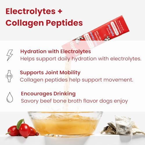 Electrolytes for Dogs with Protein – Hydration & Mobility Support with Collagen – Made with Real Beef Bone Broth – Dog Food Topper for Picky Eaters – 14 Sticks - Image 2