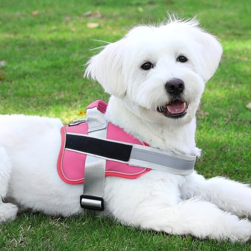 Bolux Dog Harness, No-Pull Reflective Dog Vest, Breathable Adjustable Pet Harness with Handle for Outdoor Walking - No More Pulling, Tugging or Choking (Fuchsia, Small (Pack of 1)) - Image 7