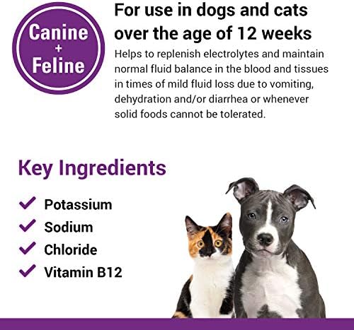 Vet Classics Pet-A-Lyte Oral Electrolyte Solution for Dogs & Cats - 32 Oz - Image 5