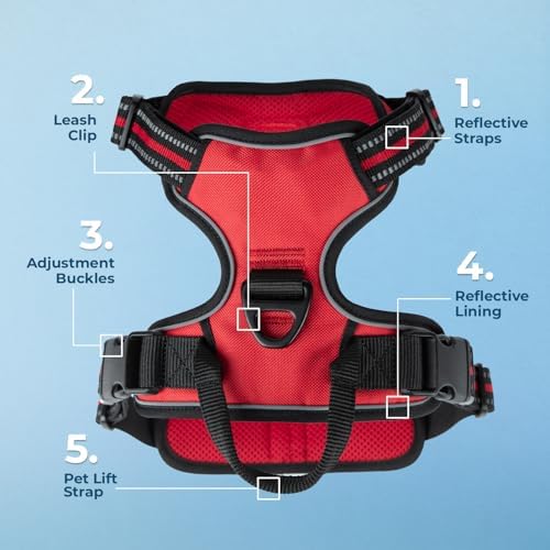 Voyager Dog Harness Dual Leash Attachment No-Pull Control Adjustable Soft but Strong Pet Harness for Medium and Large Dogs with 3M Reflective Technology, Leash Set Red Nylon, M (Chest: 20-25") - Image 6