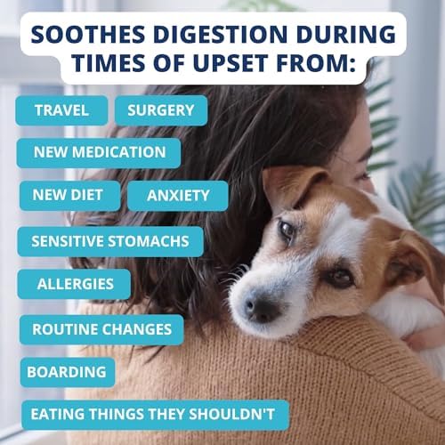 Under the Weather Bland Diet for Dogs | Easy to Digest for Sick Dogs | Always Be Ready | Contains Electrolytes - All Natural Freeze Dried 100% Human Grade Meats | 1 Pack - Chicken, Rice - 6oz - Image 4