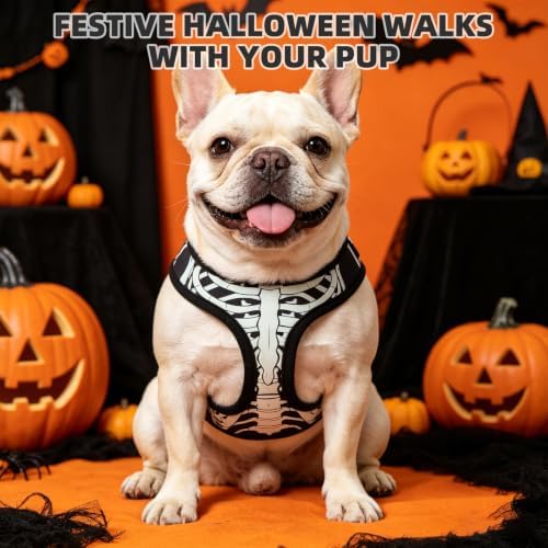 KOOLTAIL Halloween Dog Harness and Leash Set for Small Medium Dogs,Step in No Pull Soft Mesh Comfort Padded Pet Vest Harness,Glow-in-Dark Skeleton Design Easy Walking Puppy&Cat Harness for Holiday S - Image 2